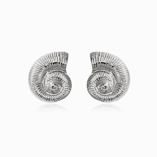 Silver Snail Shell Earrings 27x23mm BR1295 - Stainless Steel
